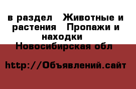  в раздел : Животные и растения » Пропажи и находки . Новосибирская обл.